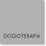 dogoterapia