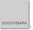 dogoterapia